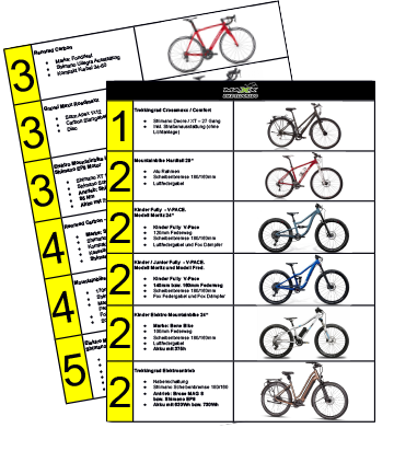 Rent a Bike als PDF downloaden